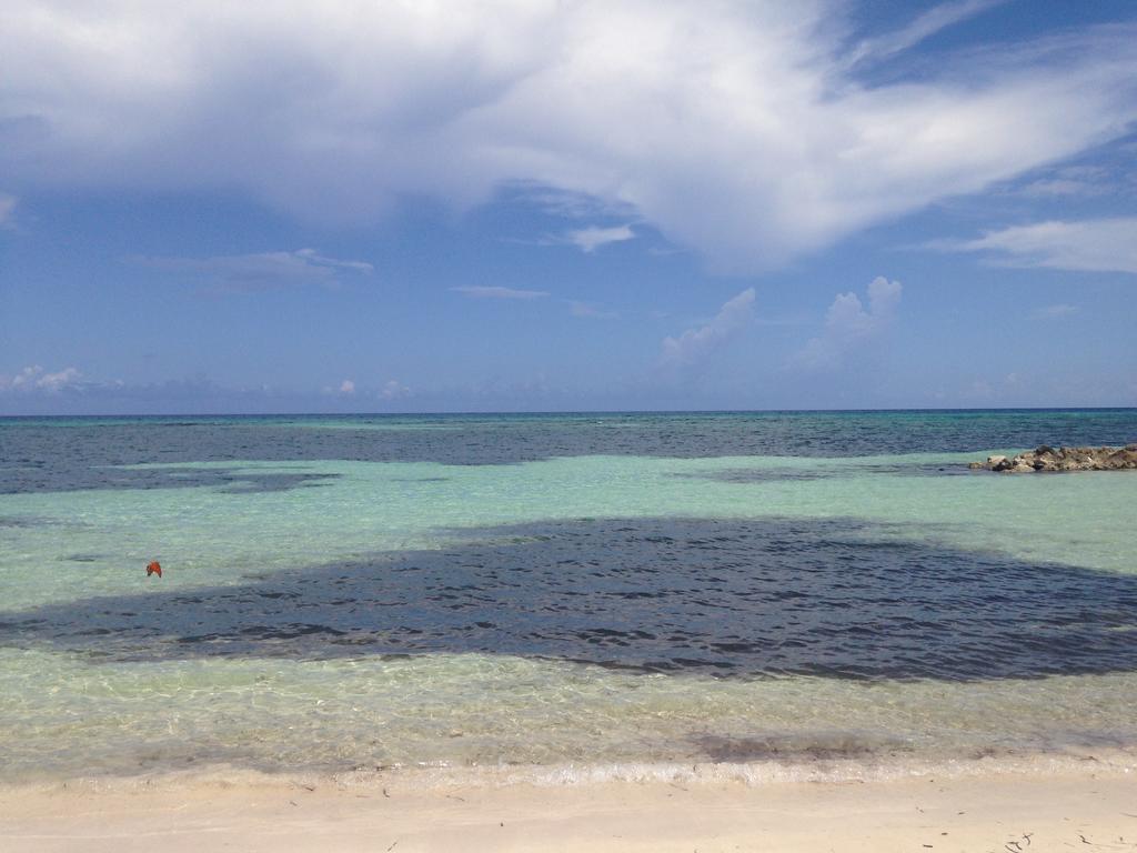 Seacastles By The Beach/Pool Бухта Монтего Экстерьер фото